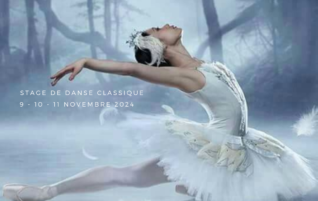 Stage de Danse Classique « Le lac des cygnes »